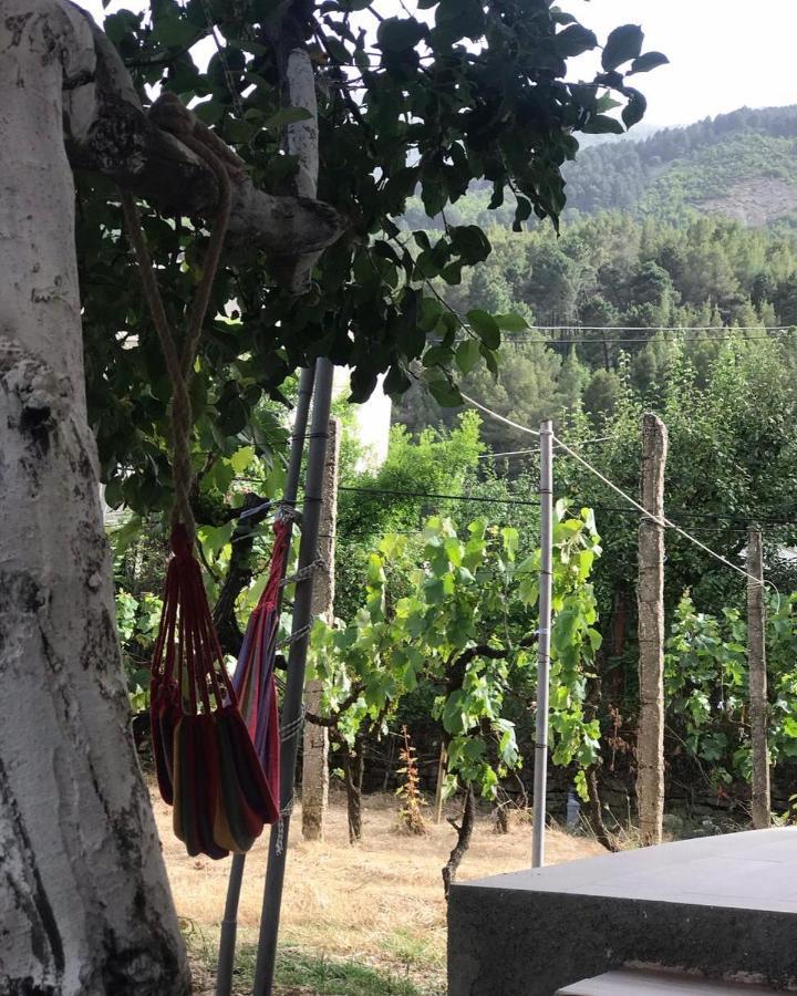 Guesthouse "Shtepia Ime" Përmet 外观 照片