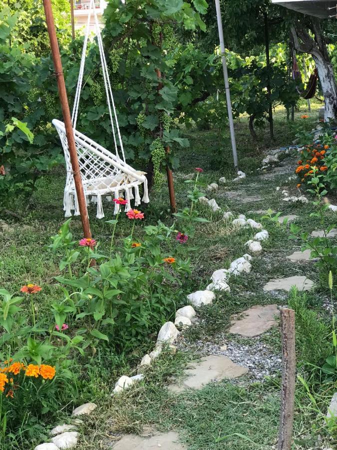 Guesthouse "Shtepia Ime" Përmet 外观 照片